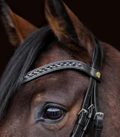 Trense S-Line Blackshine, schwedisch kombiniert