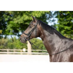 Trense Ultrasoft Celia, englisch kombiniert