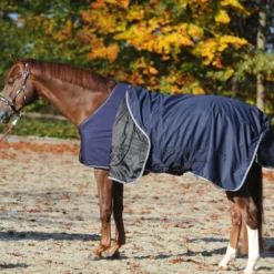 Unterdecke 50 g