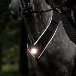 Vorderzeug Horselight, weiße Frontleuchte, Leuchtvorderzeug