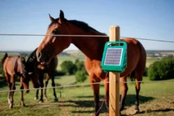 Weidezaungerät Sun Power S 250