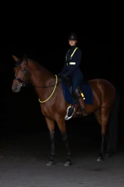 Weste, Funktionsweste LED